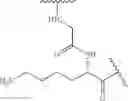 Fig. 50 - Fluorescent substrates for determining lysine modifying enzyme activity