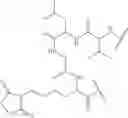 Fig. 65 - Fluorescent substrates for determining lysine modifying enzyme activity