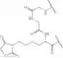 Fig. 69 - Fluorescent substrates for determining lysine modifying enzyme activity