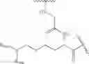 Fig. 74 - Fluorescent substrates for determining lysine modifying enzyme activity