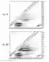 Fig. 06 - Method for the characterization of microorganisms on solid or semi-solid media