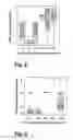 Fig. 03 - Method for the detection of acid production by cariogenic bacteria