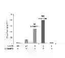 Fig. 02 - Method for producing phosphoserine incorporated proteins by using SepRS mutants and EF-Tu mutants