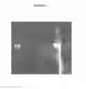 Fig. 07 - Genetically Engineered Herbicide Resistant Algae