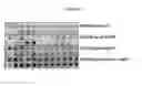 Fig. 09 - Genetically Engineered Herbicide Resistant Algae