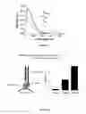 Fig. 04 - Nucleic acid assembly, vector, cell, methods and kit thereof