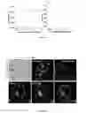Fig. 07 - Nucleic acid assembly, vector, cell, methods and kit thereof