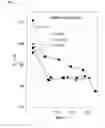 Fig. 03 - Lignin-degrading methods
