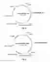 Fig. 10 - Polypeptides having catalase activity and polynucleotides encoding same