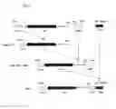 Fig. 06 - Mutant acetolactate synthase and a method for producing branched-chain L-amino acids
