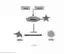 Fig. 09 - Methods for promoting cell reprogramming