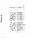 Fig. 33 - TAL EFFECTOR-MEDIATED DNA MODIFICATION