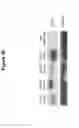 Fig. 63 - TAL EFFECTOR-MEDIATED DNA MODIFICATION