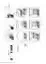 Fig. 06 - Methods and compositions relating to restricted expression lentiviral vectors and their applications