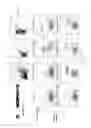 Fig. 09 - Methods and compositions relating to restricted expression lentiviral vectors and their applications