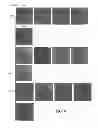 Fig. 08 - Supports and methods for promoting integration of cartilage tissue explants