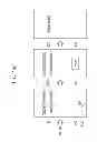 Fig. 44 - Gaming machine, gaming system, and gaming method
