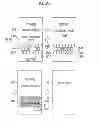 Fig. 71 - Gaming machine, gaming system, and gaming method