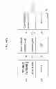 Fig. 42 - GAMING MACHINE, GAMING SYSTEM, AND GAMING METHOD