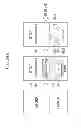 Fig. 89 - GAMING MACHINE, GAMING SYSTEM, AND GAMING METHOD