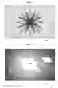 Fig. 11 - IMAGE DISPLAY DEVICE AND IMAGE DISPLAY METHOD
