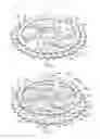 Fig. 04 - Bicycle sprocket
