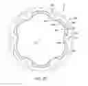Fig. 15 - Bicycle sprocket