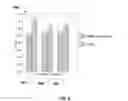 Fig. 09 - ZPGM Catalytic Converters (TWC application)