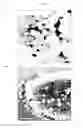Fig. 02 - Methods of preparing monodispersed polydopamine nano- or microspheres, and methods of preparing nano- or microstructures based on the polydopamine nano- or microspheres