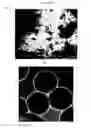 Fig. 04 - Methods of preparing monodispersed polydopamine nano- or microspheres, and methods of preparing nano- or microstructures based on the polydopamine nano- or microspheres