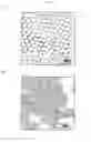 Fig. 07 - Methods of preparing monodispersed polydopamine nano- or microspheres, and methods of preparing nano- or microstructures based on the polydopamine nano- or microspheres