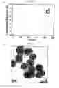 Fig. 22 - Methods of preparing monodispersed polydopamine nano- or microspheres, and methods of preparing nano- or microstructures based on the polydopamine nano- or microspheres