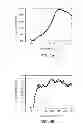 Fig. 05 - Perovskite and Mullite-like Structure Catalysts for Diesel Oxidation and Method of Making Same