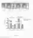 Fig. 02 - Recombinant nitrogen-fixing bacterial strain, inoculum containing the same and application methods