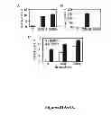 Fig. 43 - Screening methods of BMP/GDF signaling modulators using DRG11-responsive (DRAGON) proteins