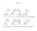 Fig. 03 - Method of detecting auto-antibodies from patients suffering from rheumatoid arthritis, a peptide and an assay kit