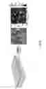 Fig. 09 - Deformable platforms for biological assays