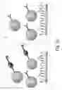 Fig. 23 - System for portable and easy-to-use detection of analytes with mobile computing device