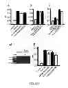 Fig. 04 - Method For Treatment Of Macular Degeneration By Modulating P2Y12 or P2X7 Receptors