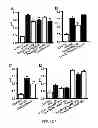 Fig. 05 - Method For Treatment Of Macular Degeneration By Modulating P2Y12 or P2X7 Receptors