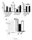 Fig. 06 - Method For Treatment Of Macular Degeneration By Modulating P2Y12 or P2X7 Receptors