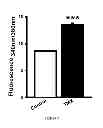 Fig. 09 - Method For Treatment Of Macular Degeneration By Modulating P2Y12 or P2X7 Receptors