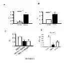 Fig. 12 - Method For Treatment Of Macular Degeneration By Modulating P2Y12 or P2X7 Receptors