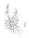 Fig. 04 - HEMOSTATIC AGENTS AND METHODS OF USE