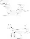 Fig. 43 - NKantagonists