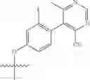 Fig. 76 - Heteroaromatic compounds and their use as dopamine D1 ligands