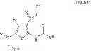 Fig. 98 - COMPOSITIONS AND METHODS FOR MODULATING INTERACTION BETWEEN POLYPEPTIDES