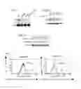 Fig. 07 - Methods of identifying and using MDM2 inhibitors