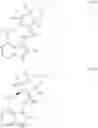 Fig. 06 - Pyrrole six-membered heteroaryl ring derivative, preparation method thereof, and medicinal uses thereof