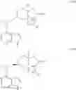 Fig. 09 - Pyrrole six-membered heteroaryl ring derivative, preparation method thereof, and medicinal uses thereof